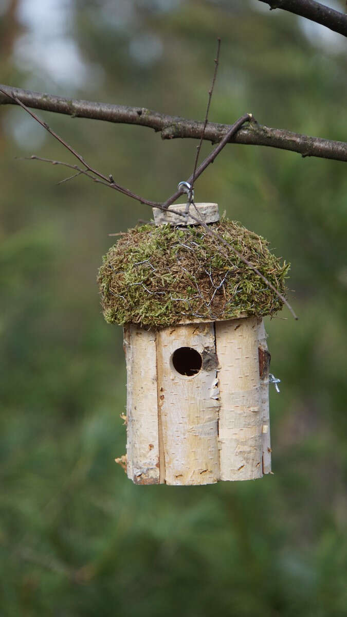 PATKAR Nistkasten mit Moosdach